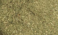 Schachtelhalmkraut, geschnitten Schachtelhalmkraut, geschnitten