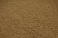 Sanddornblätterextrakt, gemahlen Sanddornblätterextrakt, gemahlen