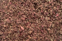 Weinblätter rot, geschnitten Weinblätter rot, geschnitten